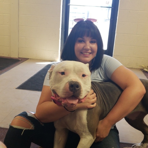 Meet your Posher, Shawn - Picture 4 of 4